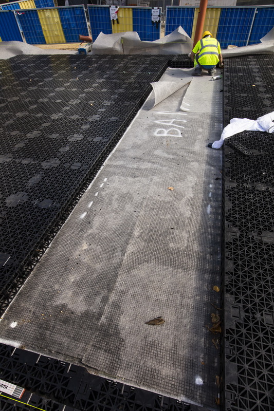 136A0062