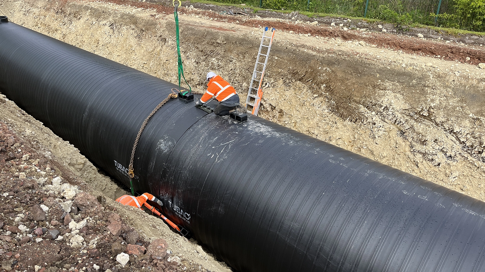 Weholite project 4